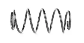 BSG 65-305-004 BSG Пружина ходовой части